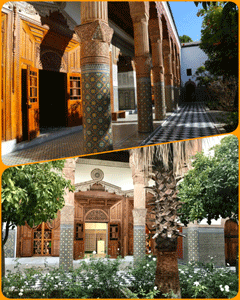 Musée des Confluences - Dar El Bacha
